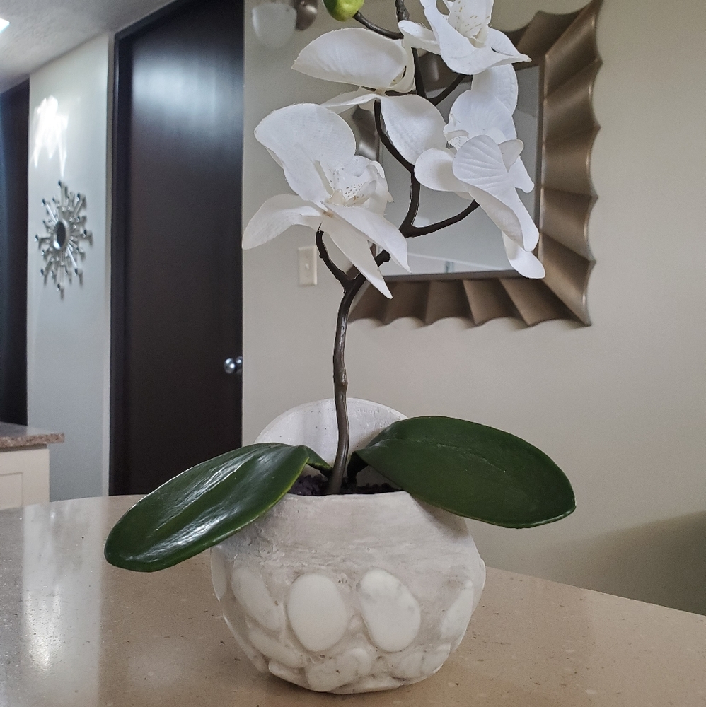 Small Planter Pot